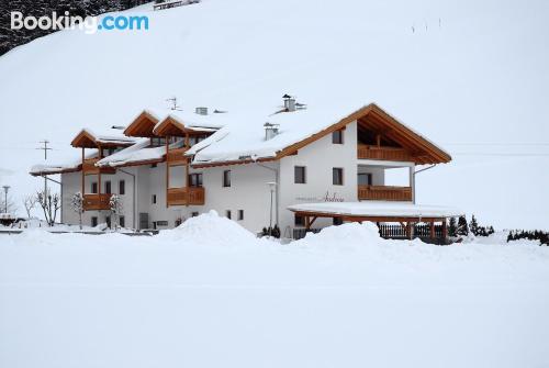 Appartement de 1 pièce adapté pour les chiens à Cadipietra