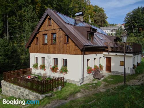 Spacieux appartement. À Janov nad Nisou