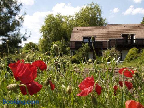 Appartement avec Wifi et terrasse. À Obersteinbach