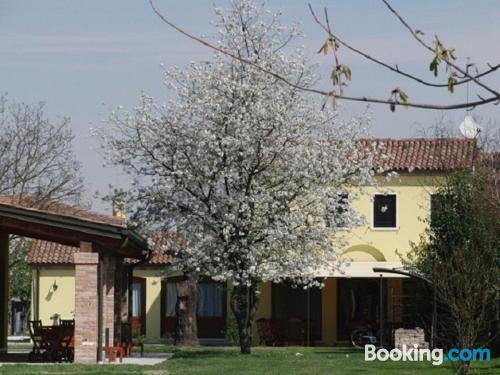 Appartement avec terrasse à Oriago Di Mira