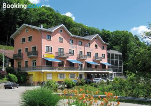 Muhlbach-sur-Munster a vostro piacimento! Pet friendly!