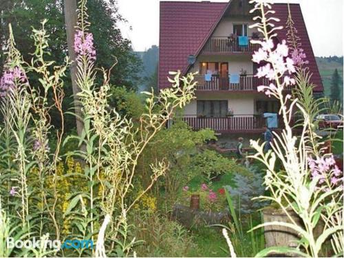 Tierfreundlich Ferienwohnung. Ideal für zwei Personen