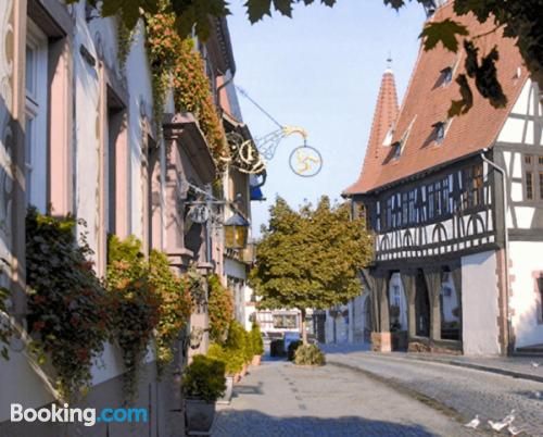 Place in Michelstadt. Homey and in superb location