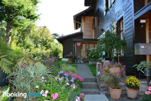 Apartamento con terraza y internet en Beatenberg. Apto para perros