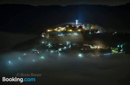 Appartamento con terrazza. Motovun è in attesa!