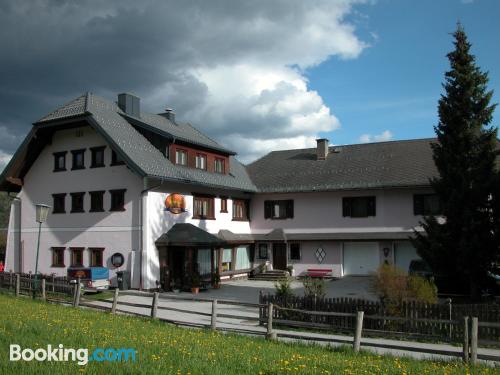 Klein Apt. In Mauterndorf