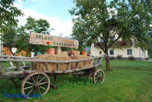 Apartment in Ledenitzen. Best location!