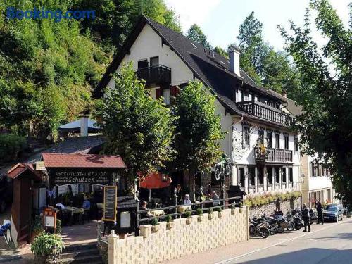 Klein Wohnung in Bad Peterstal-Griesbach. Tierfreundlich