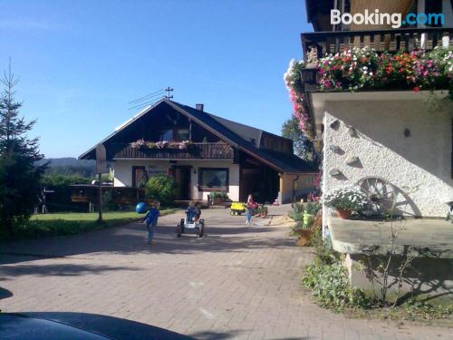 Home in Furtwangen with terrace