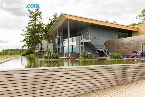 Appartement pour deux personnes. Pocklington à vos pieds!