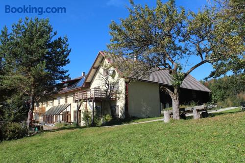 Appartement avec terrasse dans le centre de Reinsberg