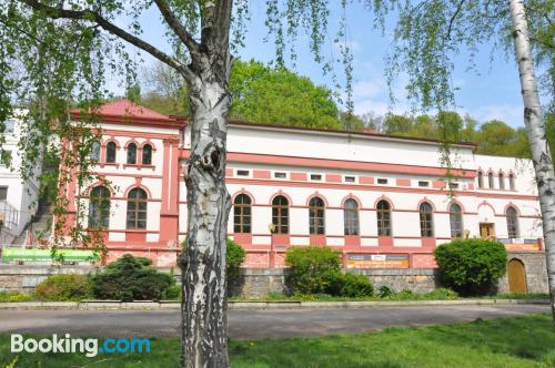 Tiny apartment for couples. Decin at your feet!