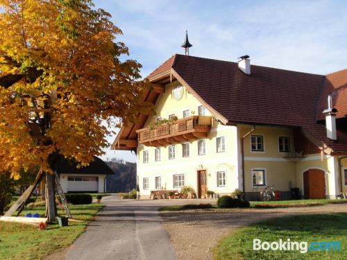 Faistenau home with terrace