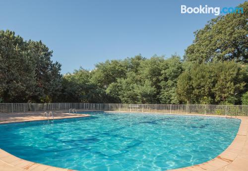 Pet friendly home in Saint-Tropez. Center