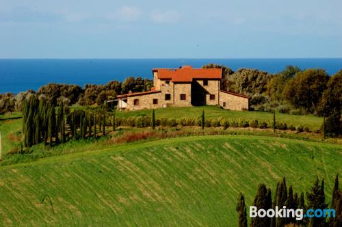 Dogs allowed one bedroom apartment in incredible location