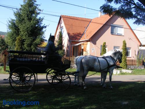 Welkom bij Szilvásvárad! Met Wifi!