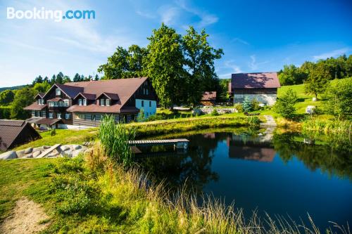 Appartement avec piscine. Rokytnice nad Jizerou est votre!