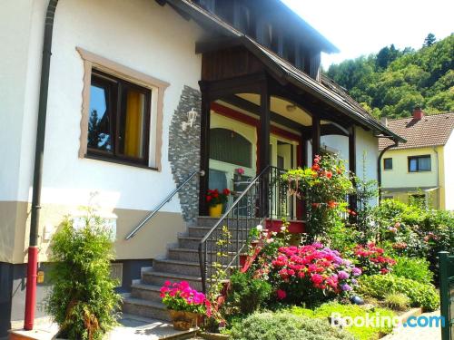 Apartamento en Oberkirch con conexión a internet.