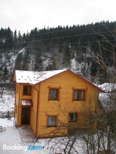Wohnung für Gruppen in Tatariv, in Mitte