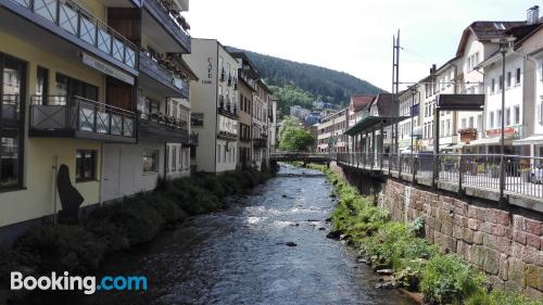 Apartamento com Wi-fi, em boa posição de Bad Wildbad