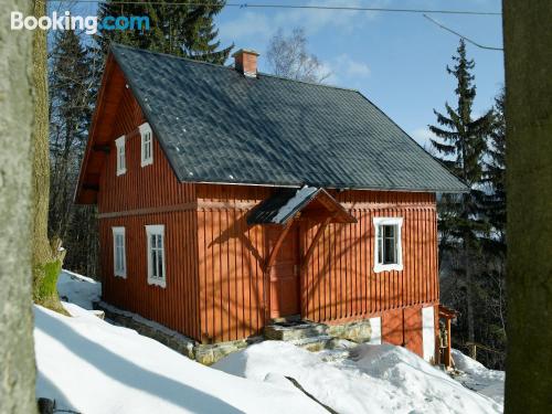 Apartamento con conexión a internet en Paseky nad Jizerou