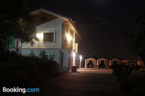 Dog friendly place in Frascati in superb location