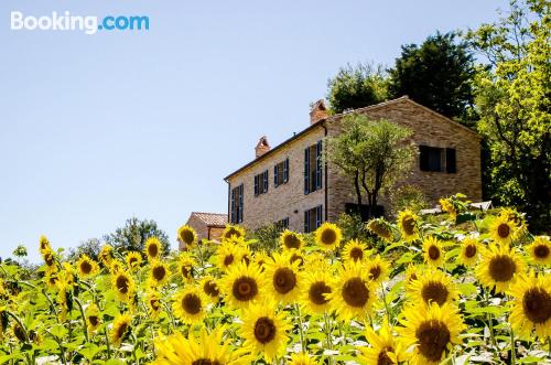 Ferienwohnung mit Terrasse. Für Familien