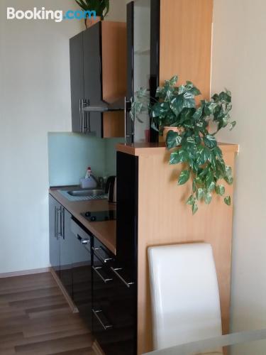 Convenient one bedroom apartment. Sušice experience!