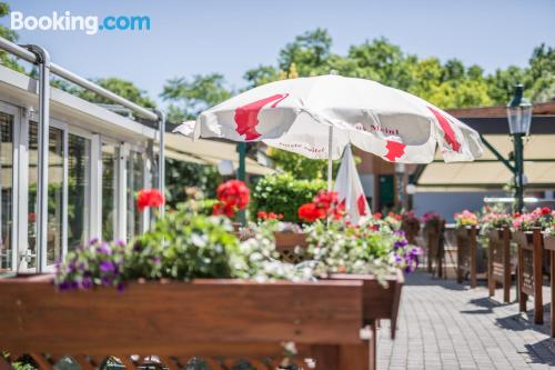 Apt mit Terrasse. In Wien