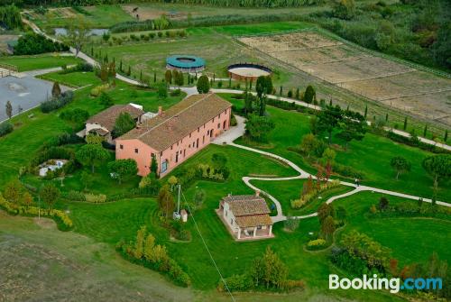 Little apartment in Fauglia.