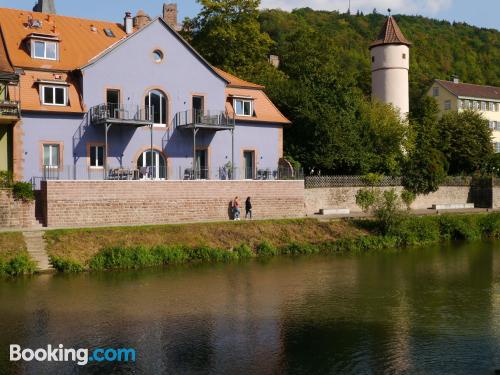 One bedroom apartment in Wertheim with internet