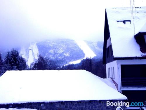 1 bedroom apartment in Harrachov. Wifi!