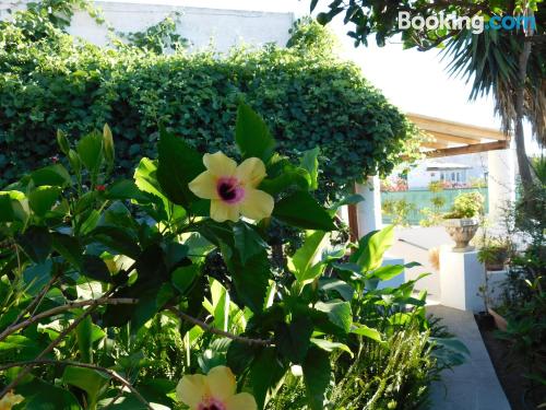 Appartement avec terrasse et Internet à Stromboli. Chiens bienvenus!