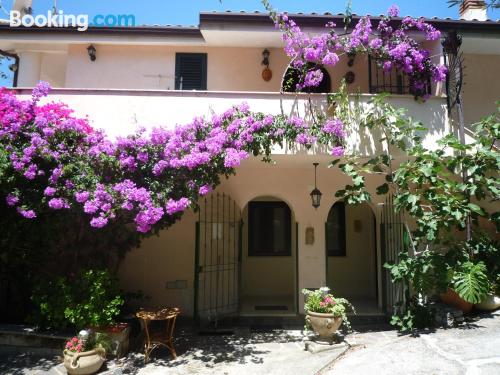 Apartamento com terraço. Cães bem-vindos