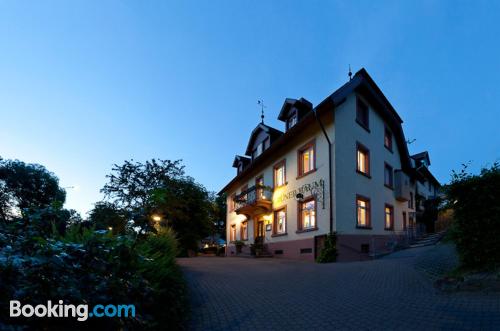 Ferienwohnung mit terrasse. In Freiburg Im Breisgau.