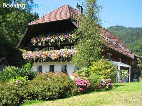 Appartement avec chauffage. À Gutach