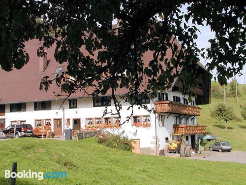 Appartamento per due persone, a Hornberg