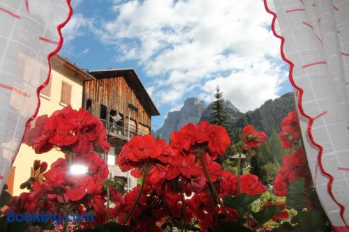 Pets allowed apartment in Selva di Cadore. Convenient for families