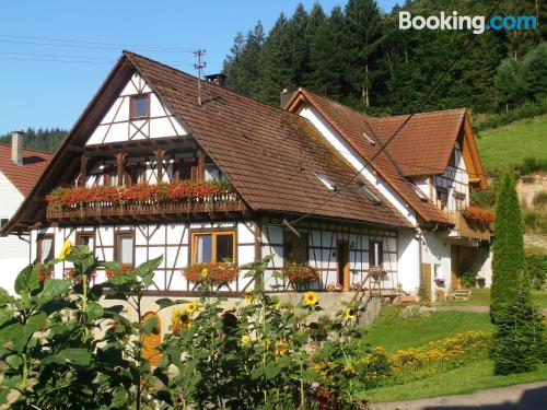 Appartement avec terrasse à Oberkirch