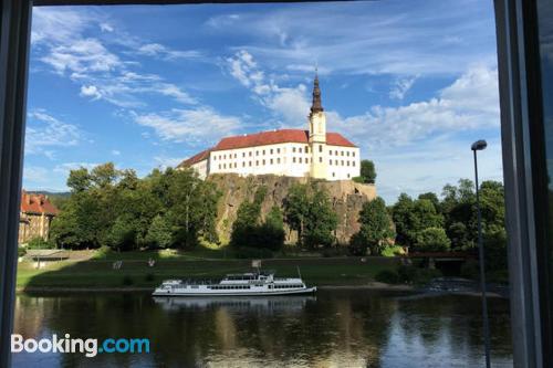 Apartamento com Wi-fi em Decin