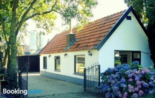 Honden welkom appartement. 80m2