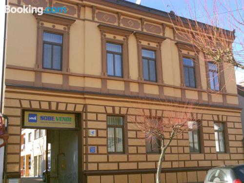 Wohnung tierfreundlich in Mitte, ideal für 2 Personen