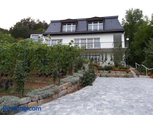 Ferienwohnung mit Balkon. Zentrale!