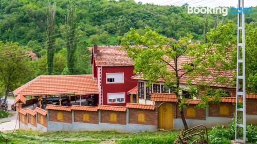 Appartement avec terrasse. Pirot à vos pieds