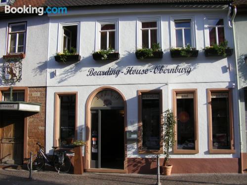 Obernburg am Main, dans une position centrale. Chiens bienvenus