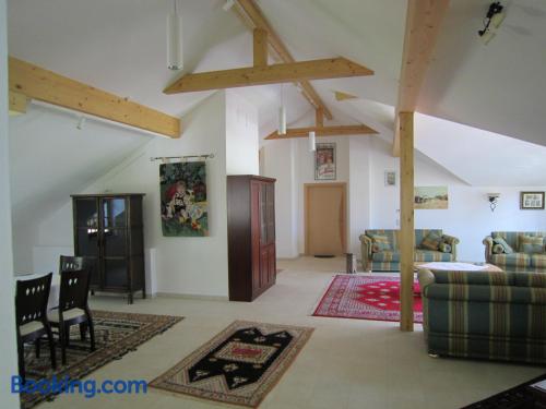 Apartment for groups in great location of Obertraun