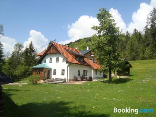 Apartamento para famílias em Bad Goisern. Com terraço!