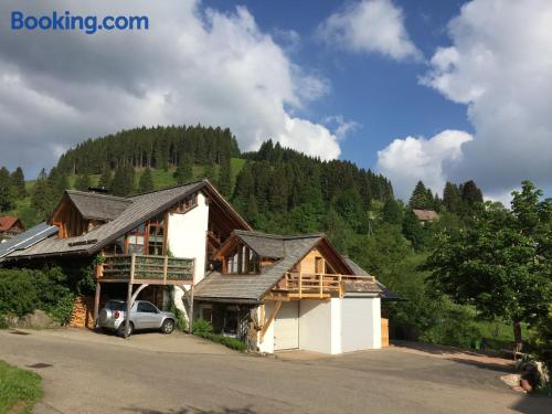 Espaçoso apartamento com 2 quartos em Feldberg