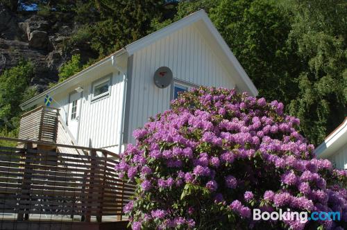 Apartamento com terraço. Aquecimento e Internet