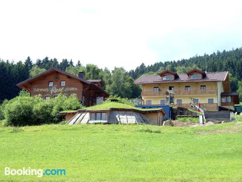 Apartamento para grupos. Terraço e piscina